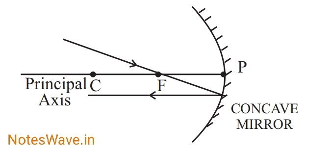 Science notes class 10 light