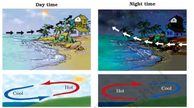 CBSE Class 7 science notes ncert chapter 3