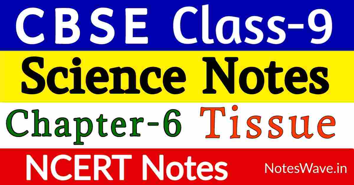 Class 9 Science Notes Chapter 6 Tissue